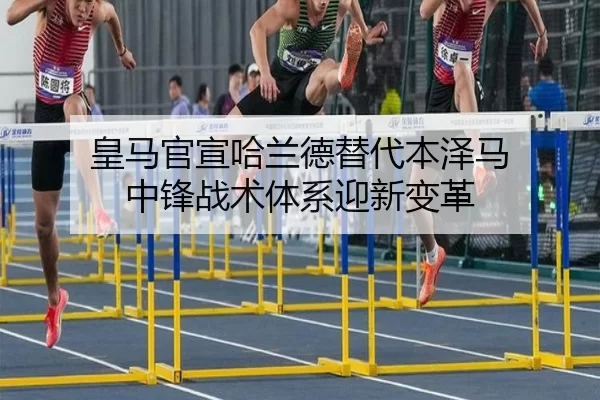 huang-ma-guan-xuan-ha-lan-de-ti-dai-ben-ze-ma-zhong-feng-zhan-shu-ti-xi-ying-xin-bian-ge-2-486.jpg