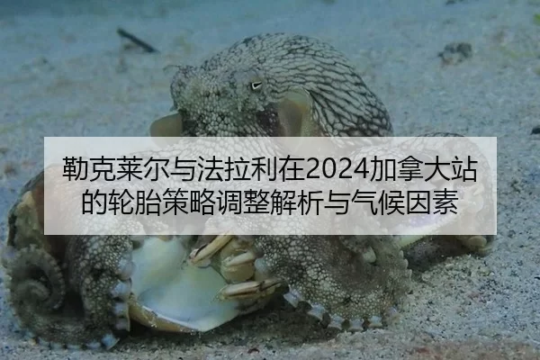 勒克莱尔与法拉利在2024加拿大站的轮胎策略调整解析与气候因素