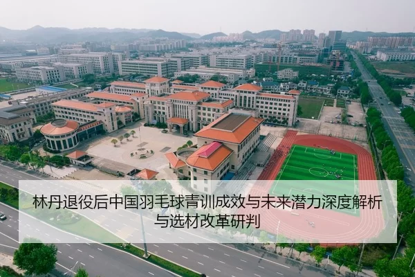 林丹退役后中国羽毛球青训成效与未来潜力深度解析与选材改革研判