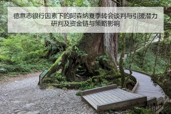 德意志银行因素下的阿森纳夏季转会谈判与引援潜力研判及资金链与策略影响